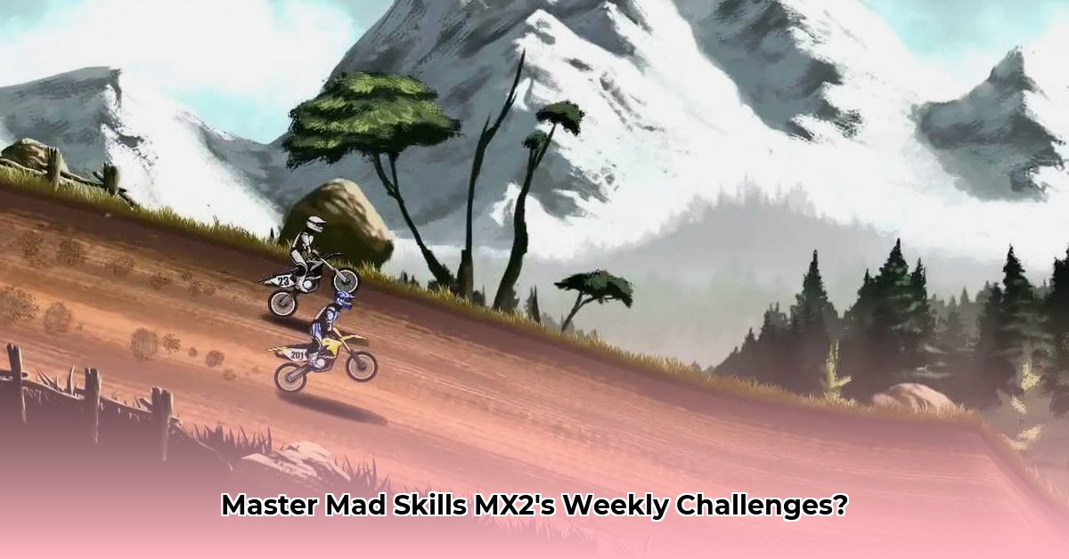 mad-skills-mx-2